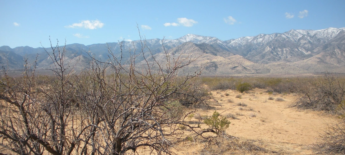 Desert View of Mount Graham