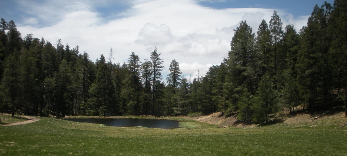 Snow Flat Pond, Mount Graham